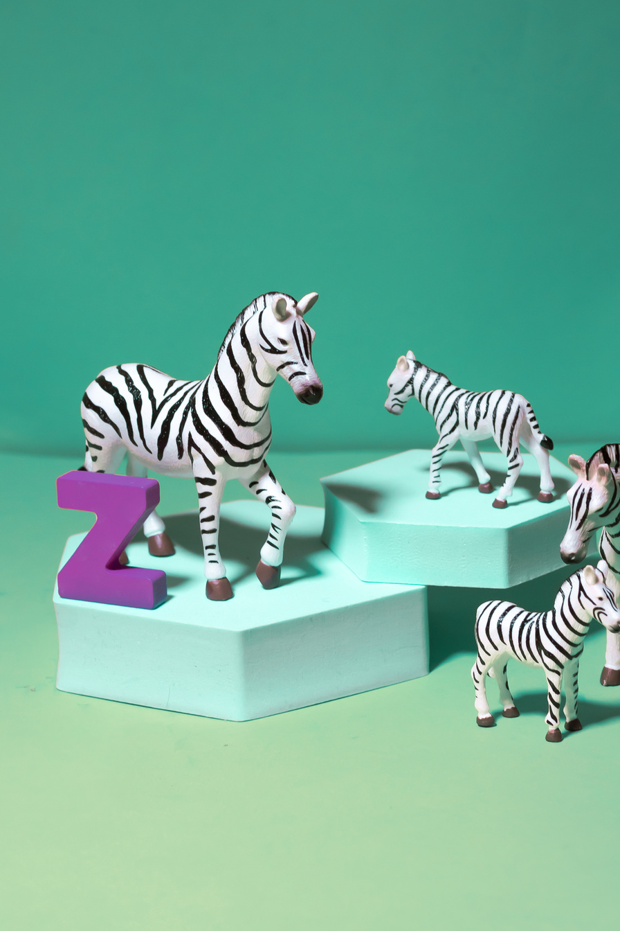 Letter Z with Zebras