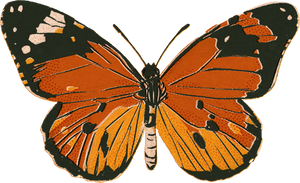 Textured Riso Butterfly 