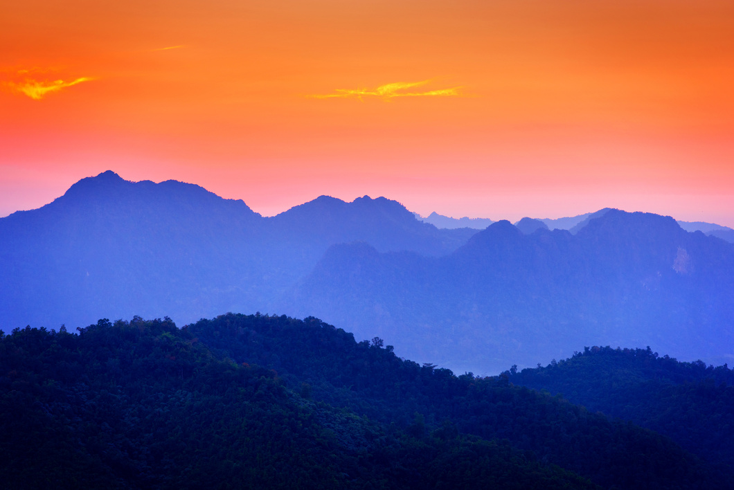 Beautiful nature scene