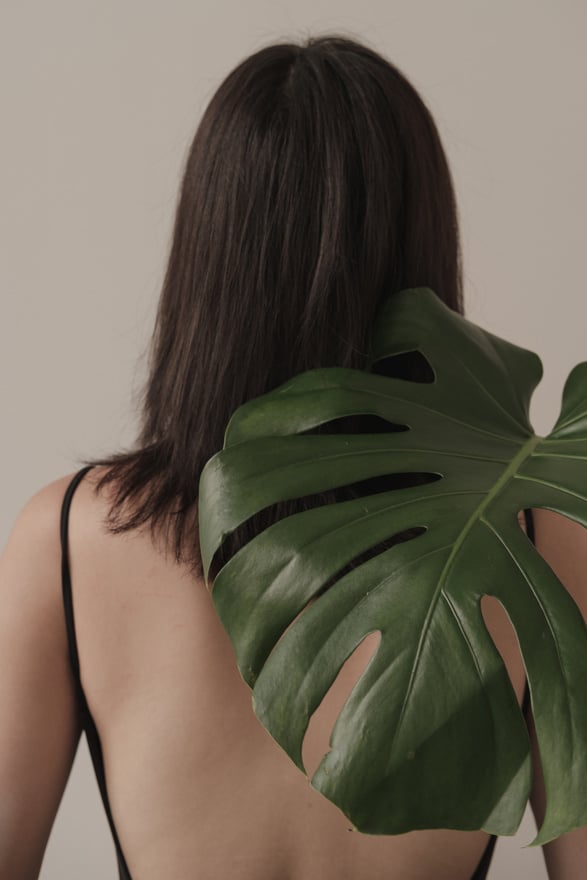 Back of Woman with Monstera Leaf