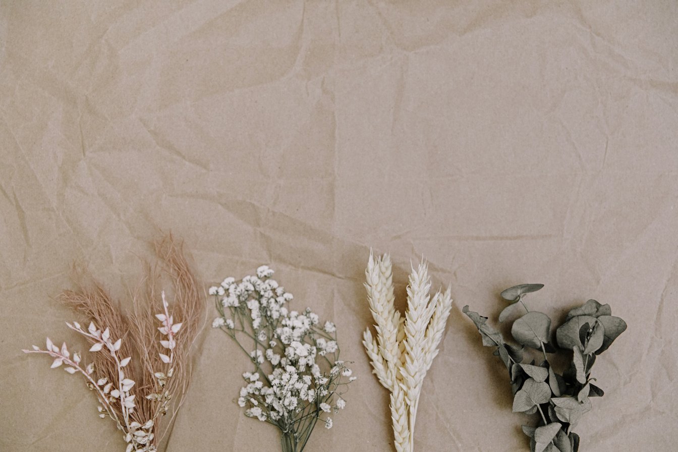 Dried Leaves and Flowers on Brown Craft Paper