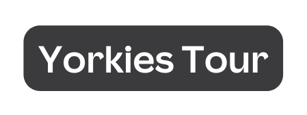 Yorkies Tour